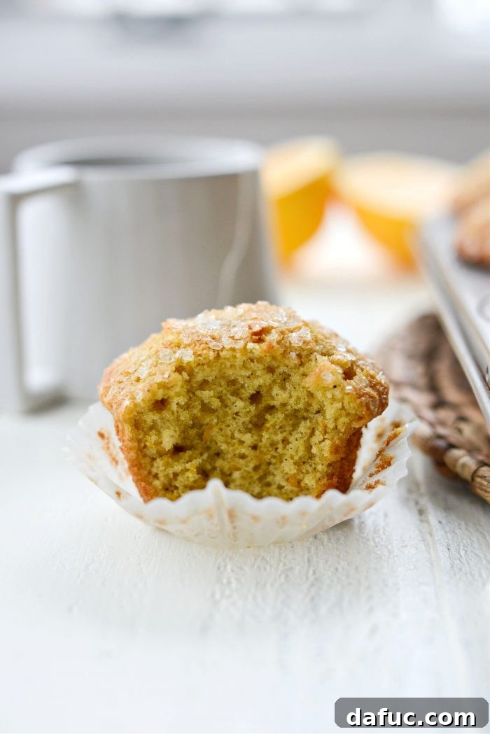 Fragrant Orange Cardamom Gems 19 Close-up of a single Orange Cardamom Muffin with sparkling sugar topping
