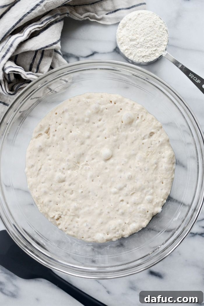 Bubbling, sticky no-knead pizza dough after 24 hours of fermentation