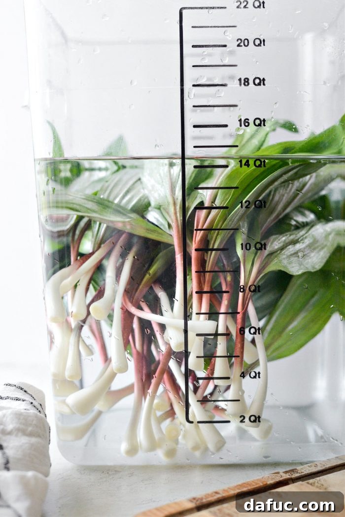 Charred Ramps Perfection 11 Submerging ramps into cold water for cleaning