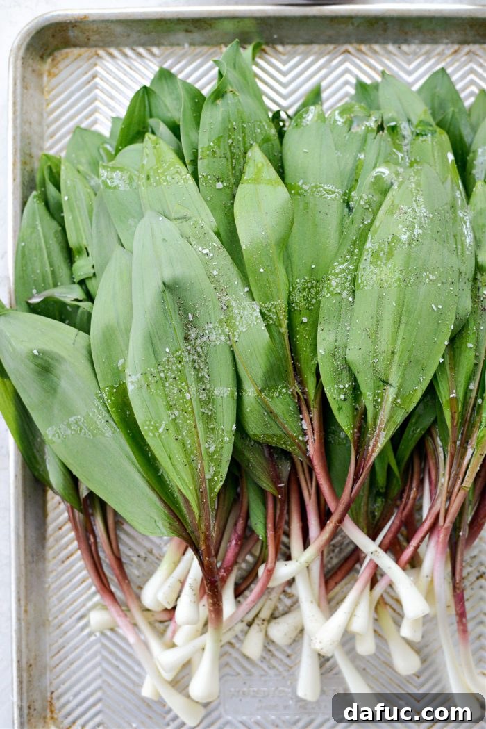 Charred Ramps Perfection 17 Cleaned ramps seasoned on a rimmed baking sheet
