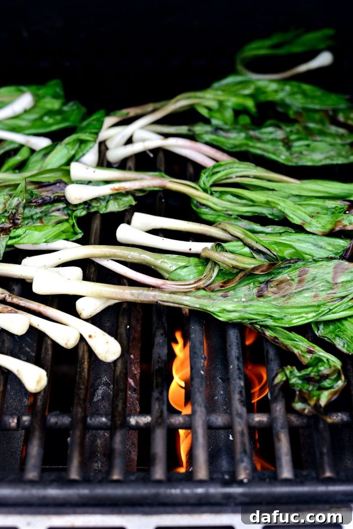 Charred Ramps Perfection 21 Grilled ramps sizzling on the grill