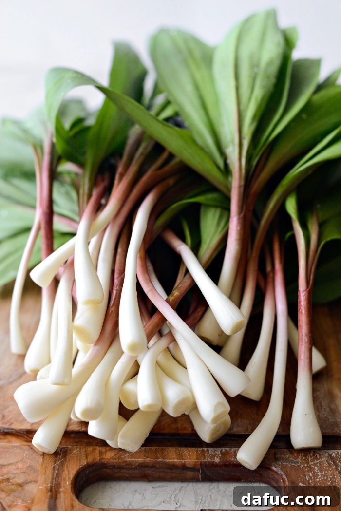Charred Ramps Perfection 9 Cleaned and prepared ramps on a baking sheet, ready for grilling