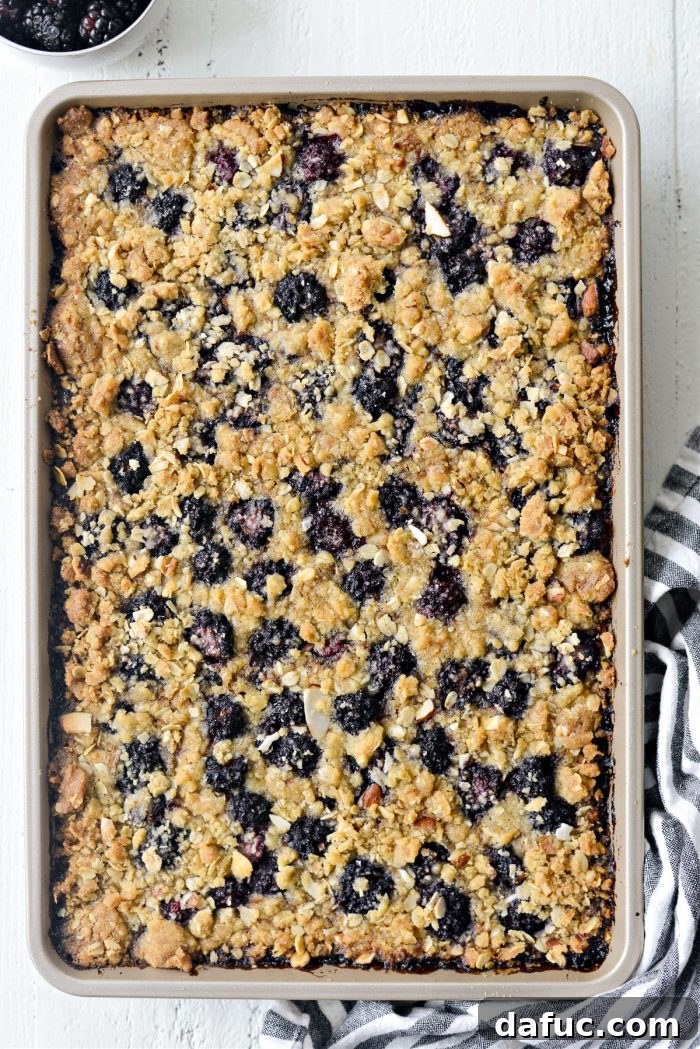 Blackberry Almond Crumble Bars 19 Freshly baked Blackberry Almond Streusel Bars, golden and bubbling