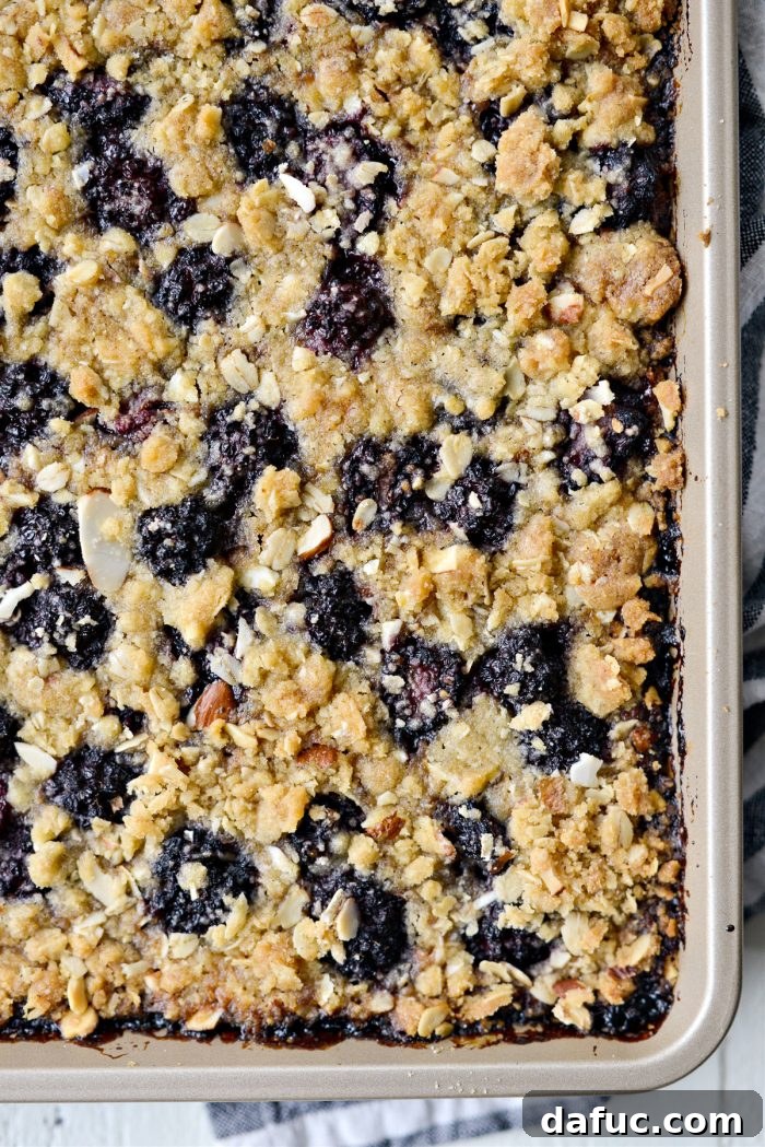 Blackberry Almond Crumble Bars 20 Close-up of the baked streusel topping with berries peeking through