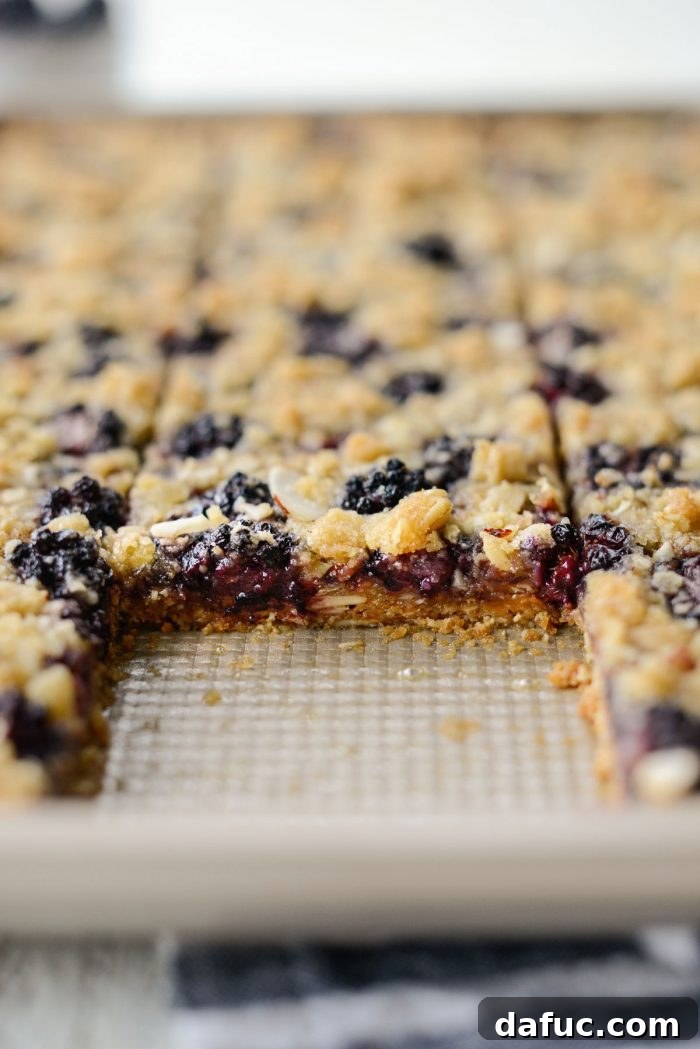 Blackberry Almond Crumble Bars 21 A missing piece from a pan of Blackberry Almond Streusel Bars, indicating deliciousness
