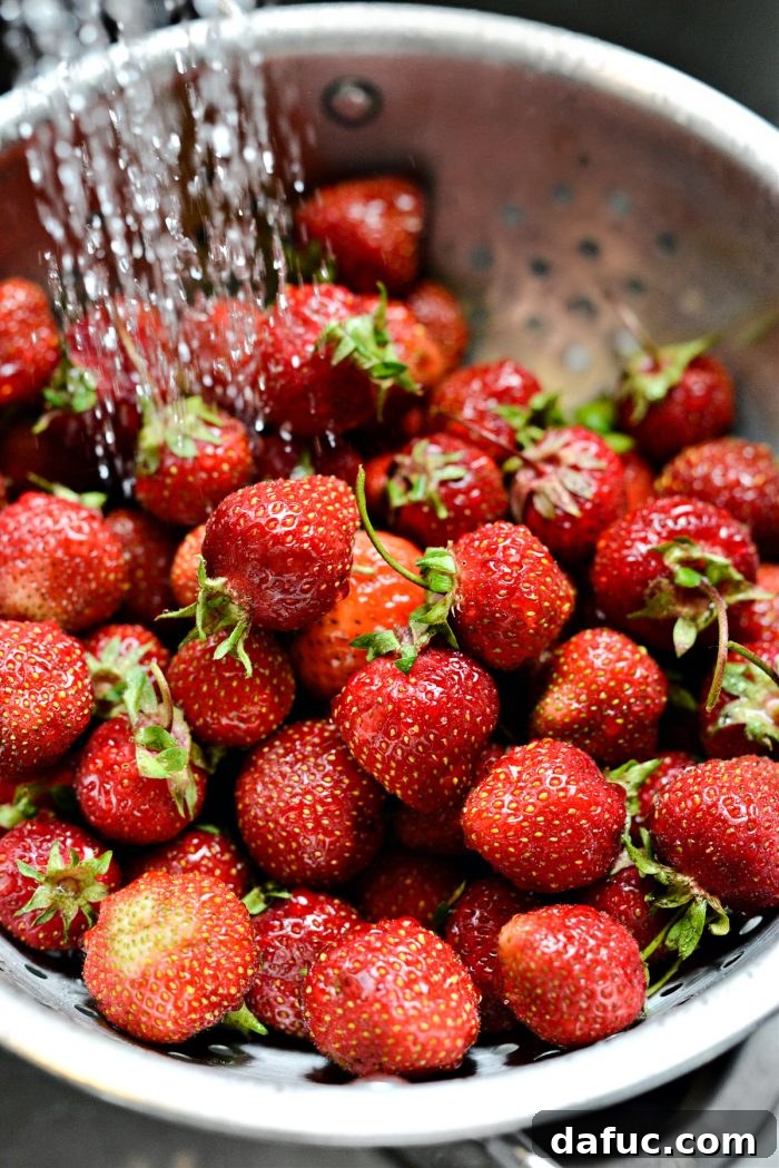 Washing fresh strawberries in a colander before preparing for shortcake.