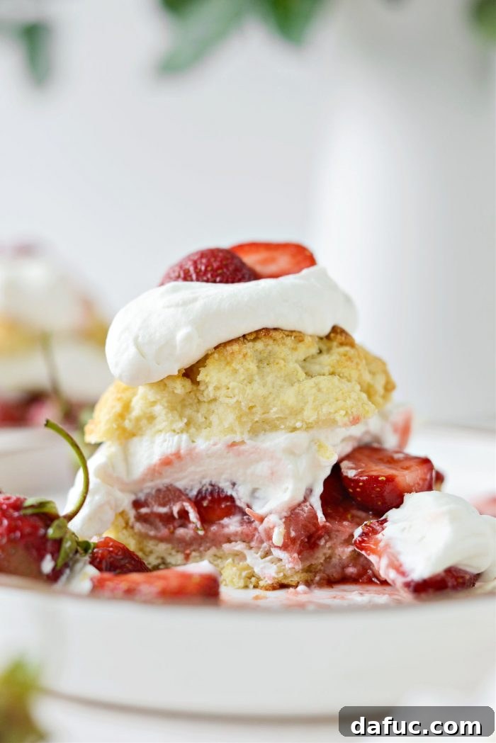 Freshly Baked Strawberry Dream 26 Beautifully presented Homemade Strawberry Shortcake