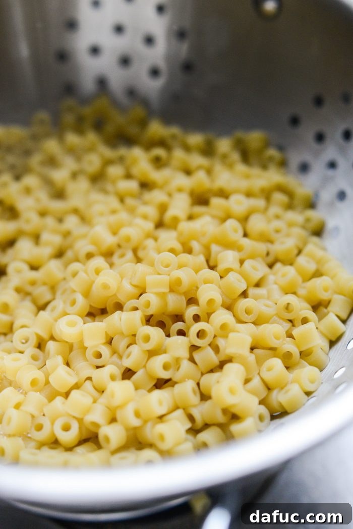 Silken Pasta e Fagioli 17 cooked ditalini pasta