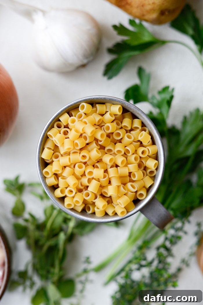 Silken Pasta e Fagioli 5 ditalini pasta