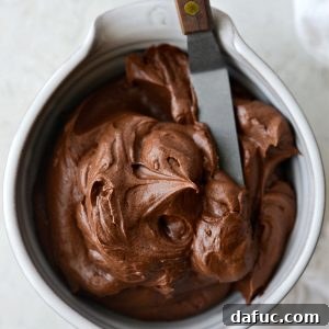 Decadent Chocolate Cloud 17 Whipped Chocolate Buttercream
