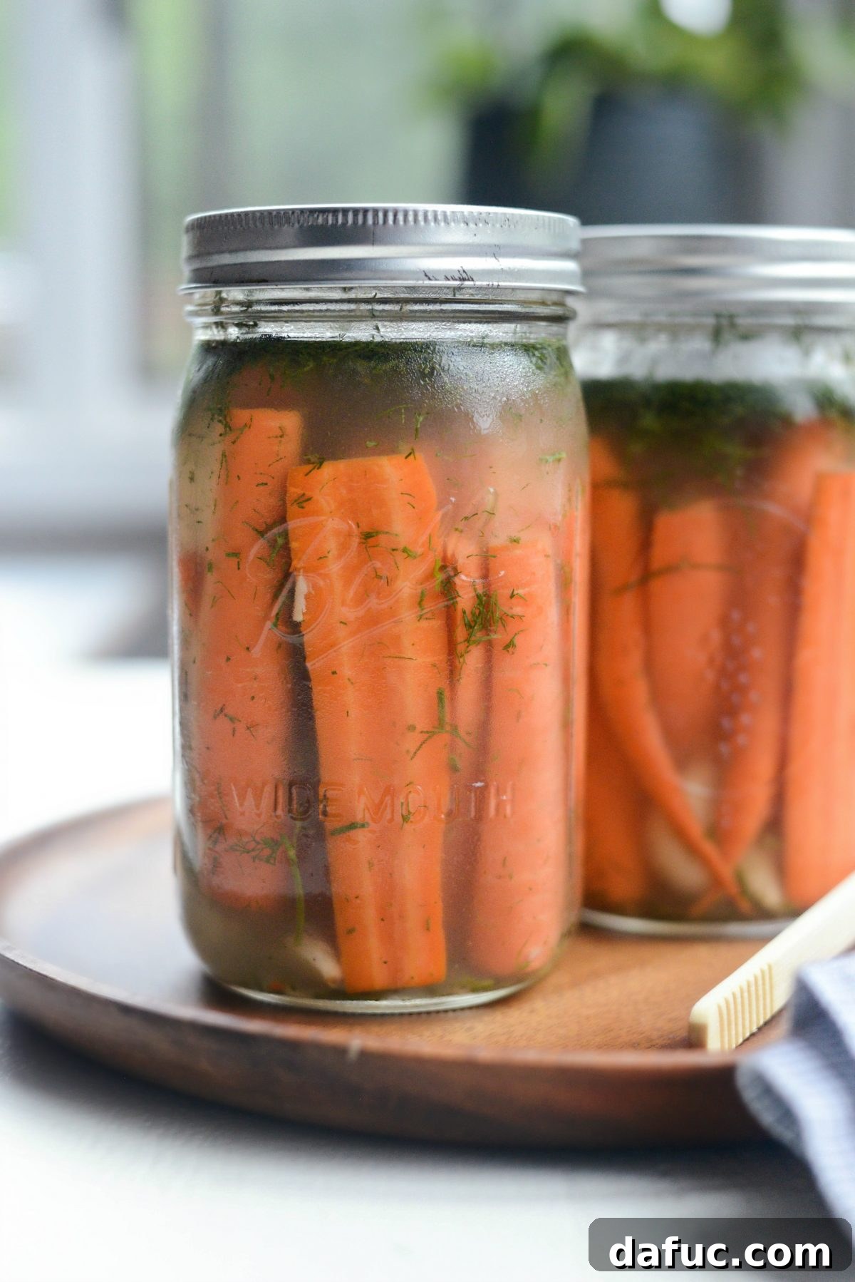 Probiotic Dill Carrot Sticks 2 Naturally Fermented Dilly Carrots in jars