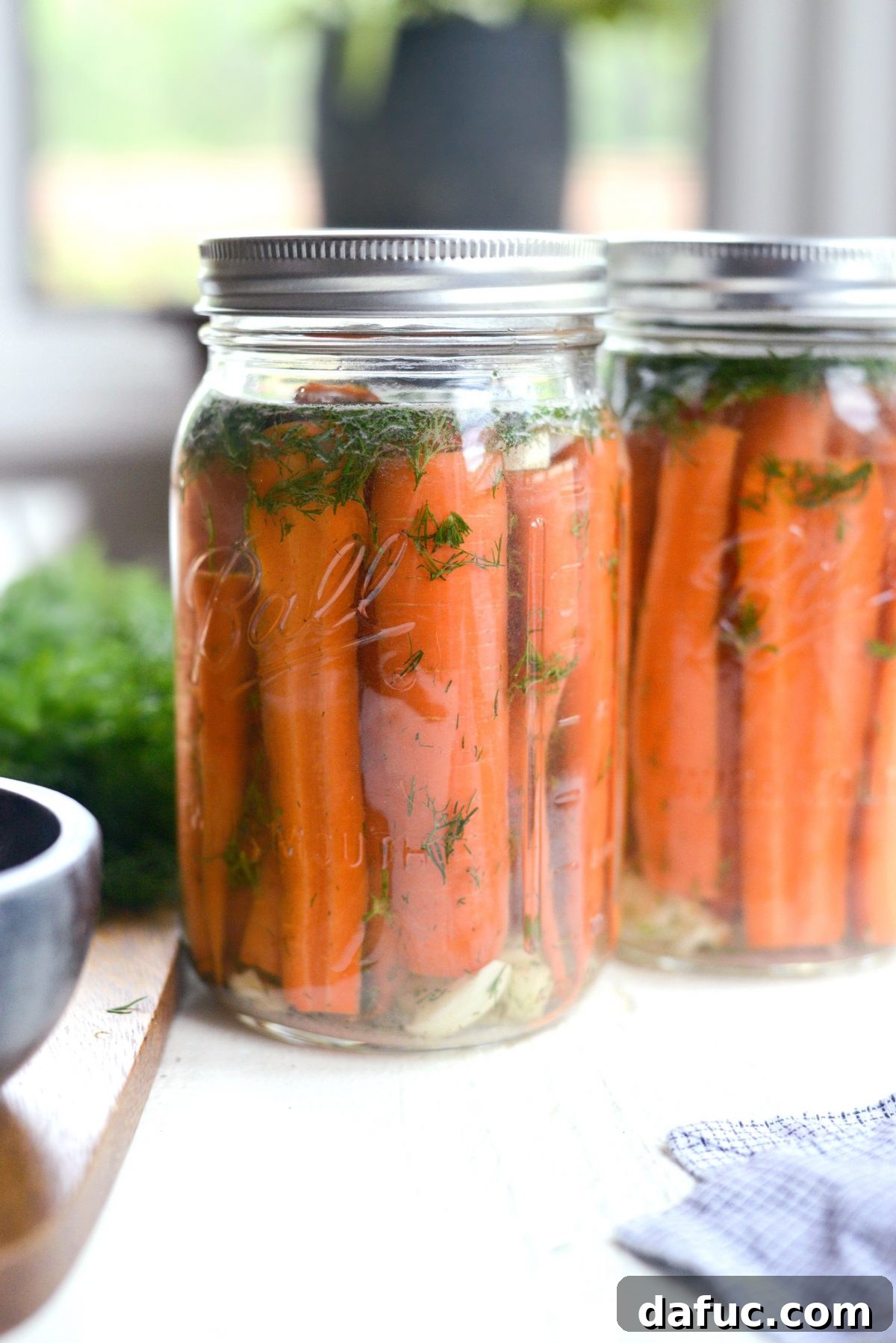 Probiotic Dill Carrot Sticks 11 lids on jars of Naturally Fermented Dilly Carrots
