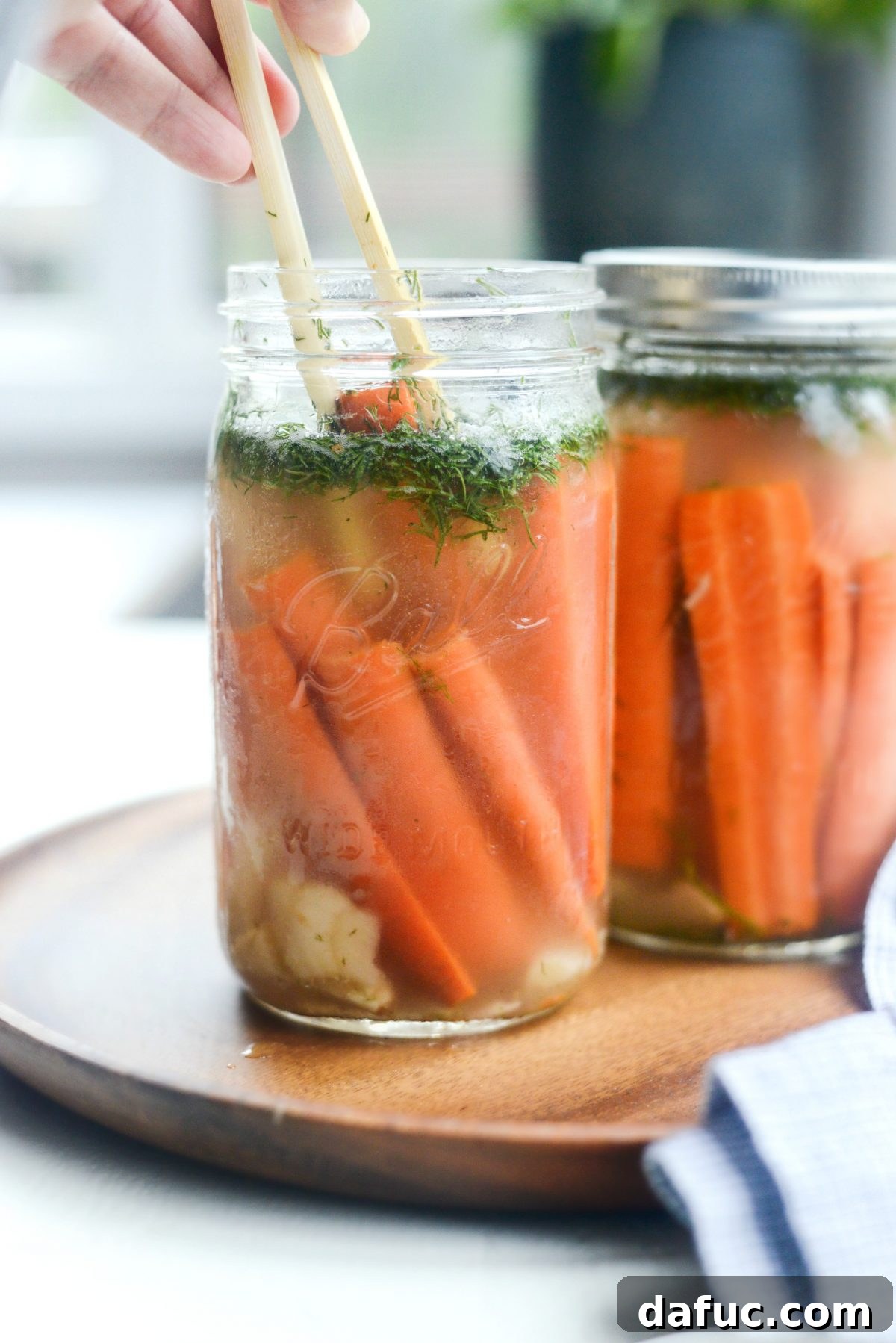 Probiotic Dill Carrot Sticks 12 using bamboo tongs to remove Naturally Fermented Dilly Carrots from jar