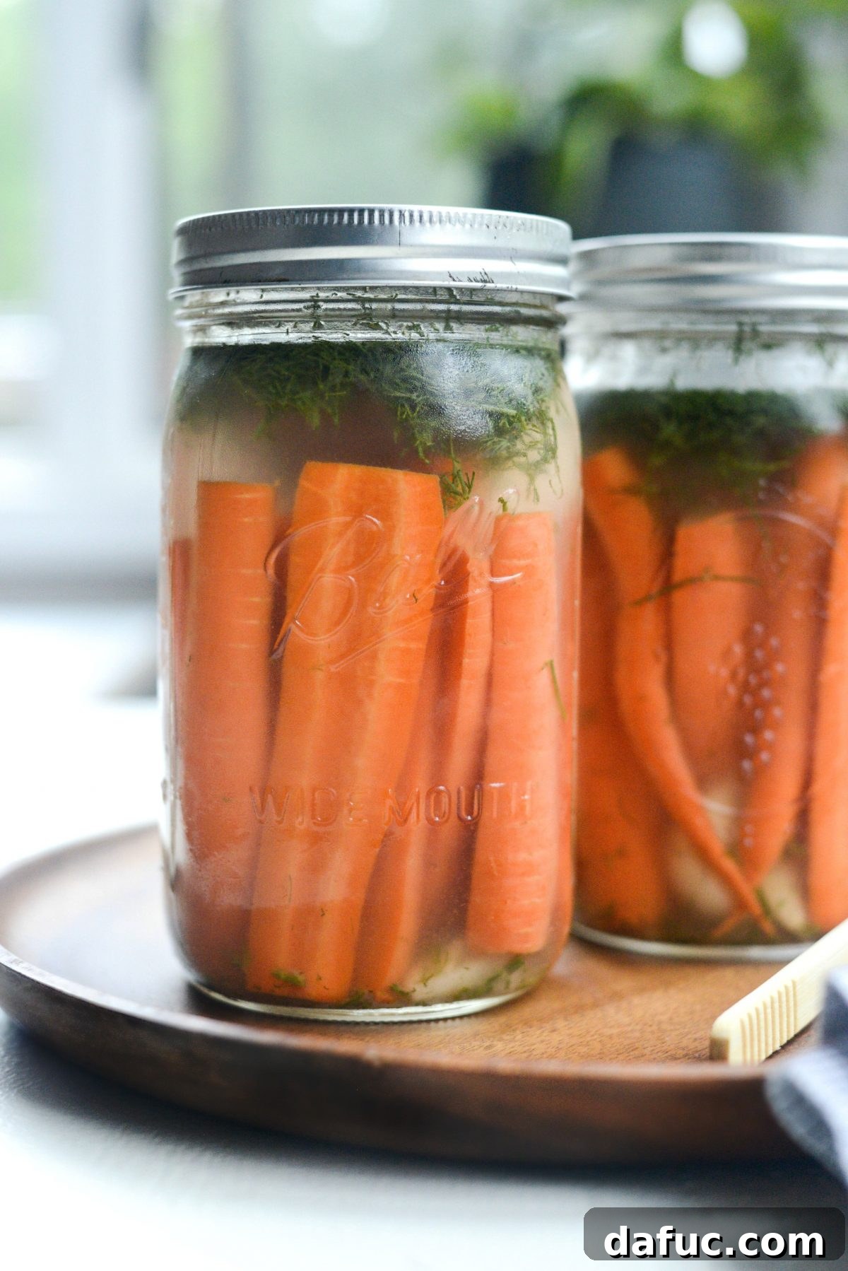 Probiotic Dill Carrot Sticks 13 Naturally Fermented Dilly Carrots