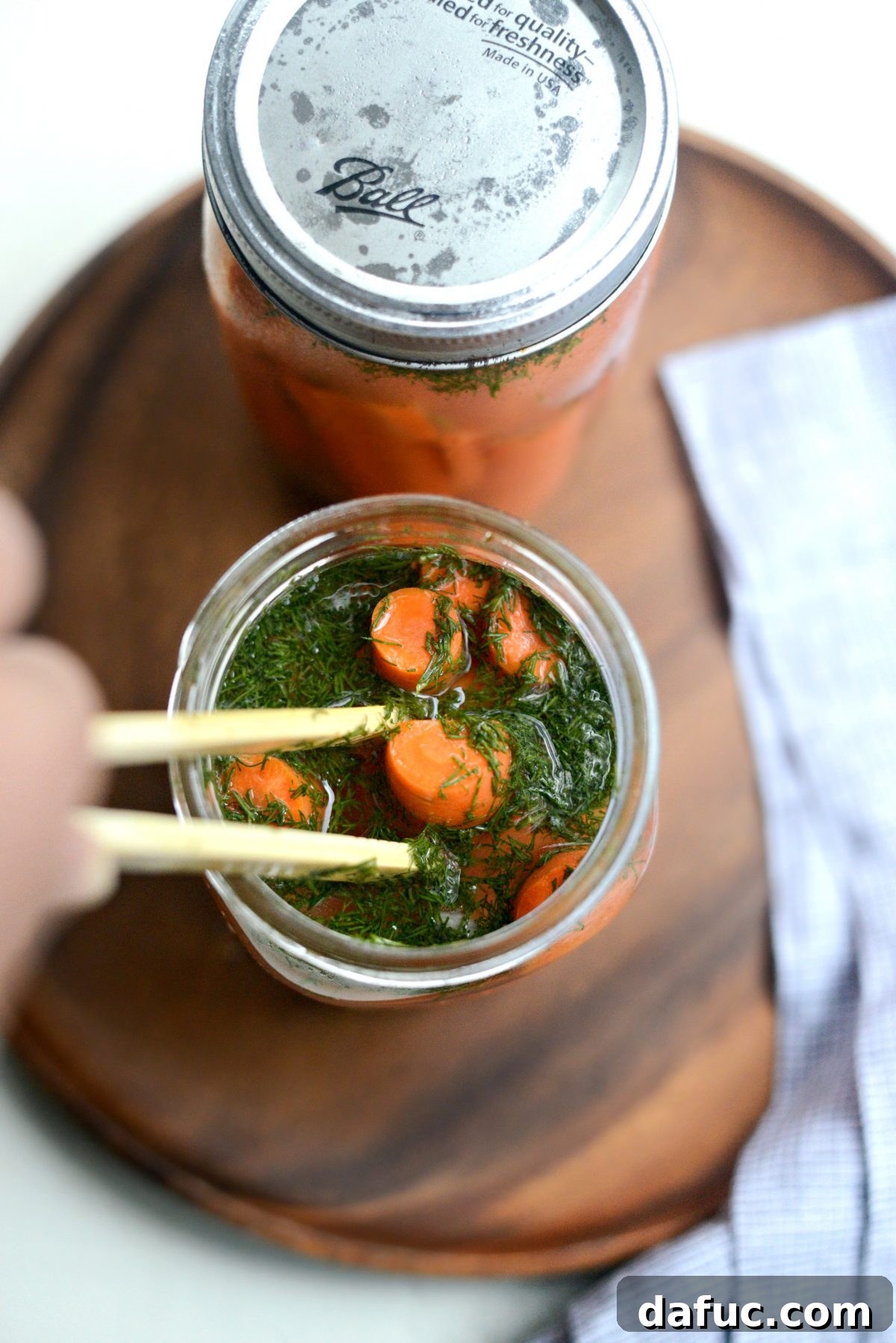 Probiotic Dill Carrot Sticks 14 Naturally Fermented Dilly Carrots