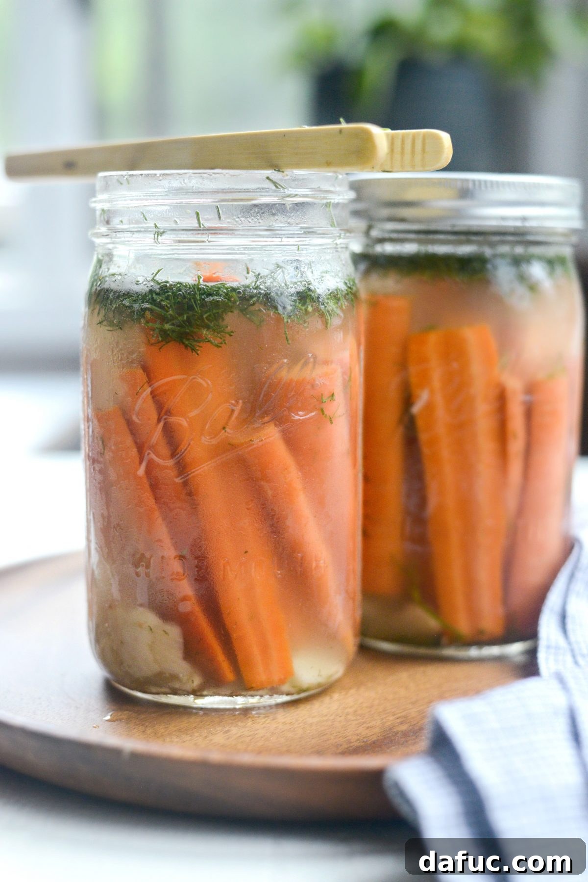 Probiotic Dill Carrot Sticks 15 Naturally Fermented Dilly Carrots