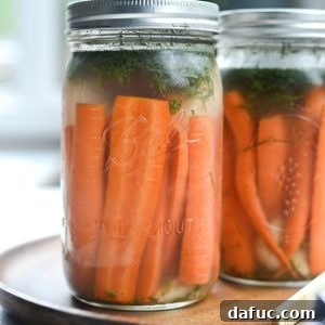 Naturally Fermented Dilly Carrots l SimplyScratch.com