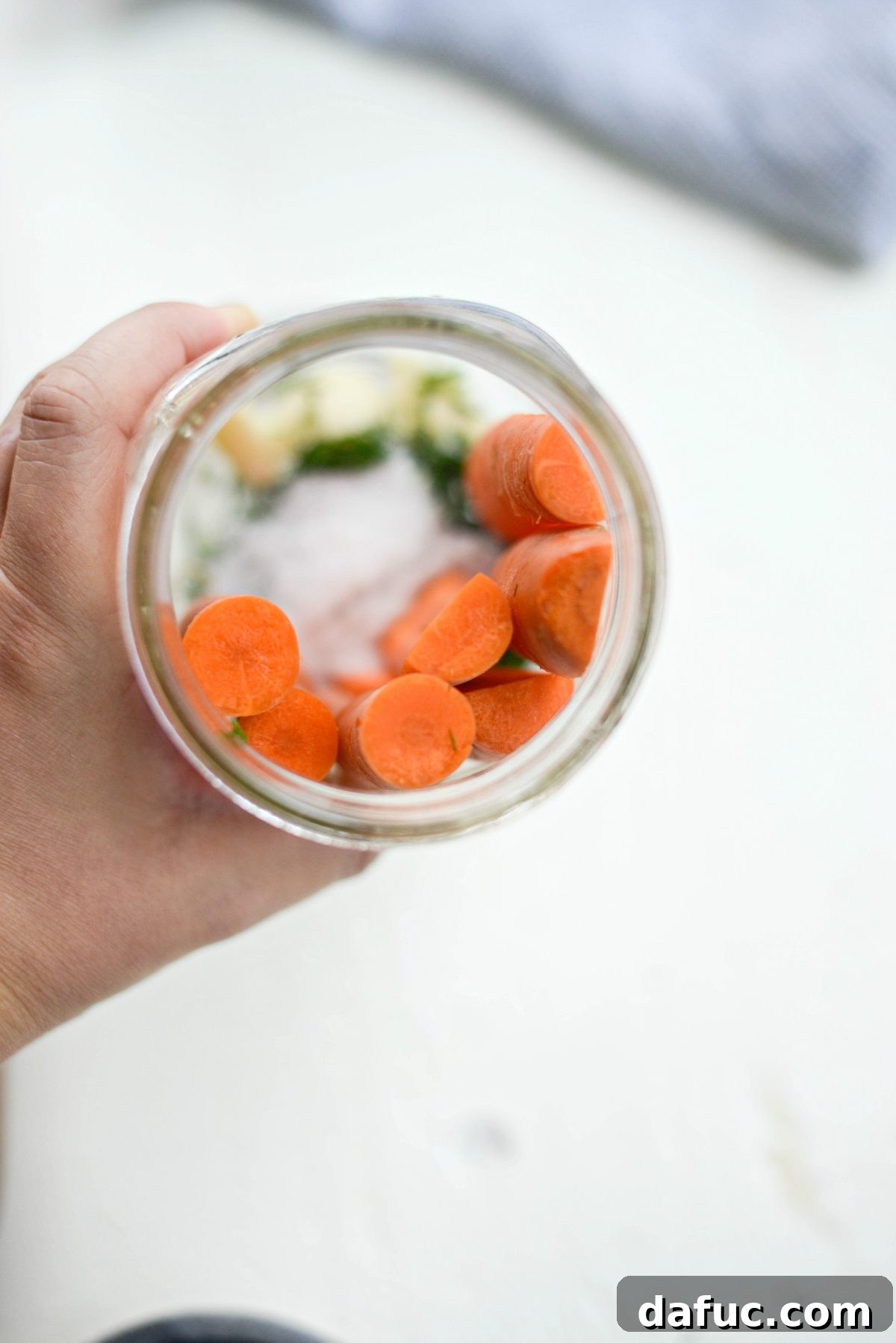 Probiotic Dill Carrot Sticks 7 wedge in the carrots