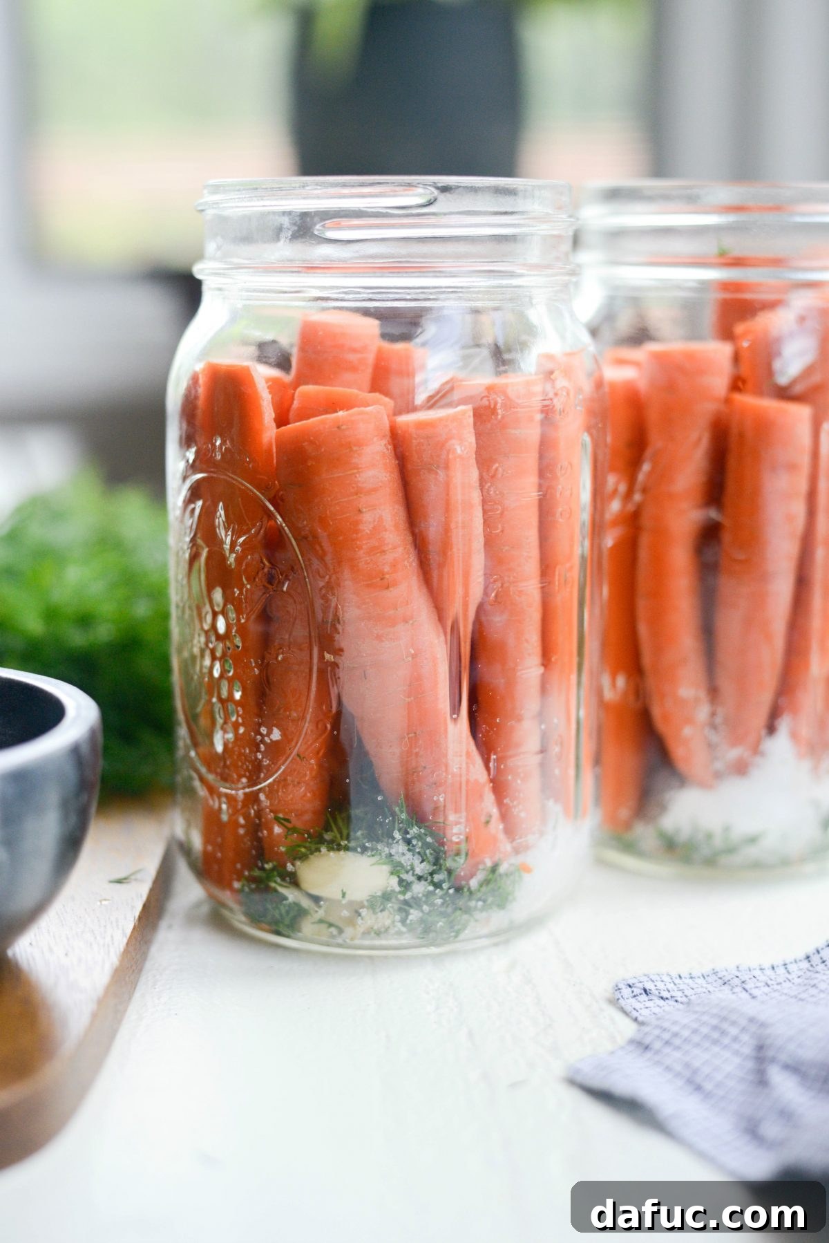 Probiotic Dill Carrot Sticks 9 side of jars with carrots