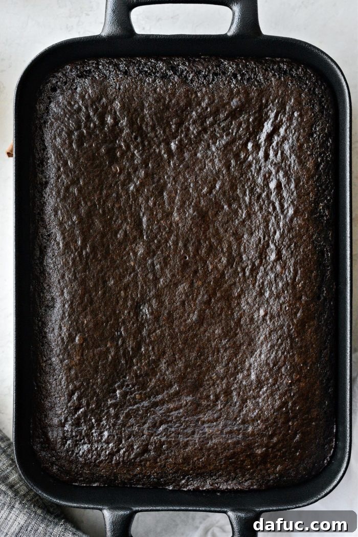 Decadent Chocolate Garden Delight 18 Freshly baked chocolate cake cooling on a wire rack