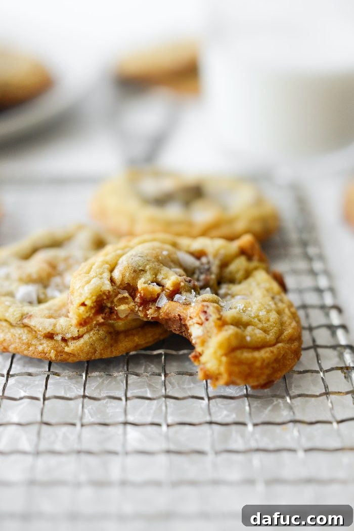 Salty-Sweet Snickers Cookie Bliss 19 Salted Snickers Cookies close-up
