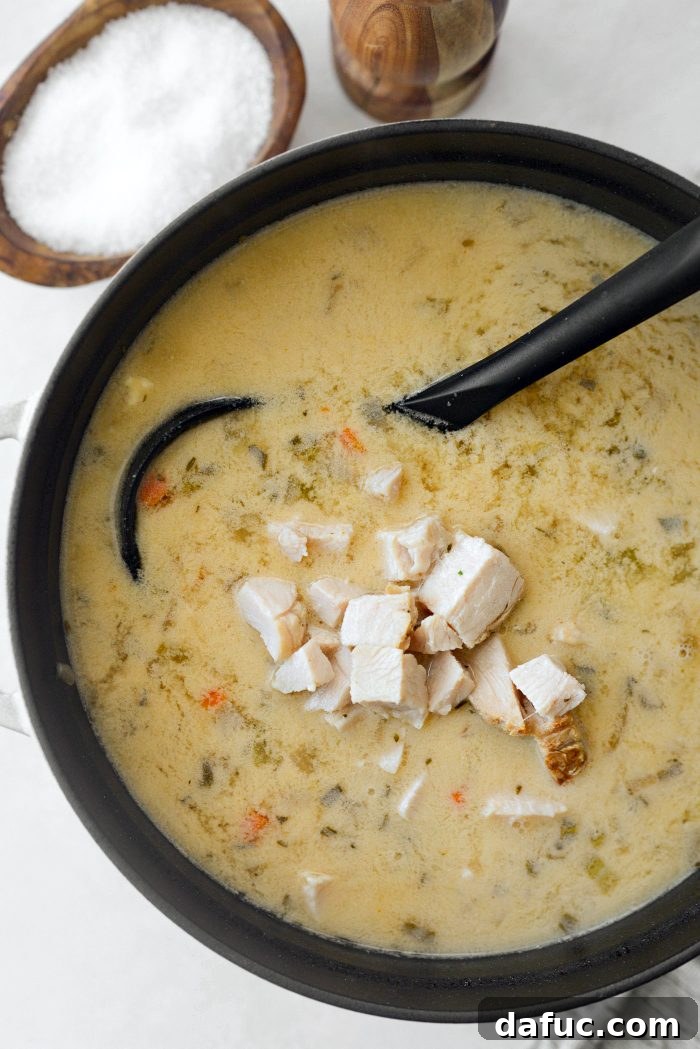 Adding leftover turkey to the soup and stirring.