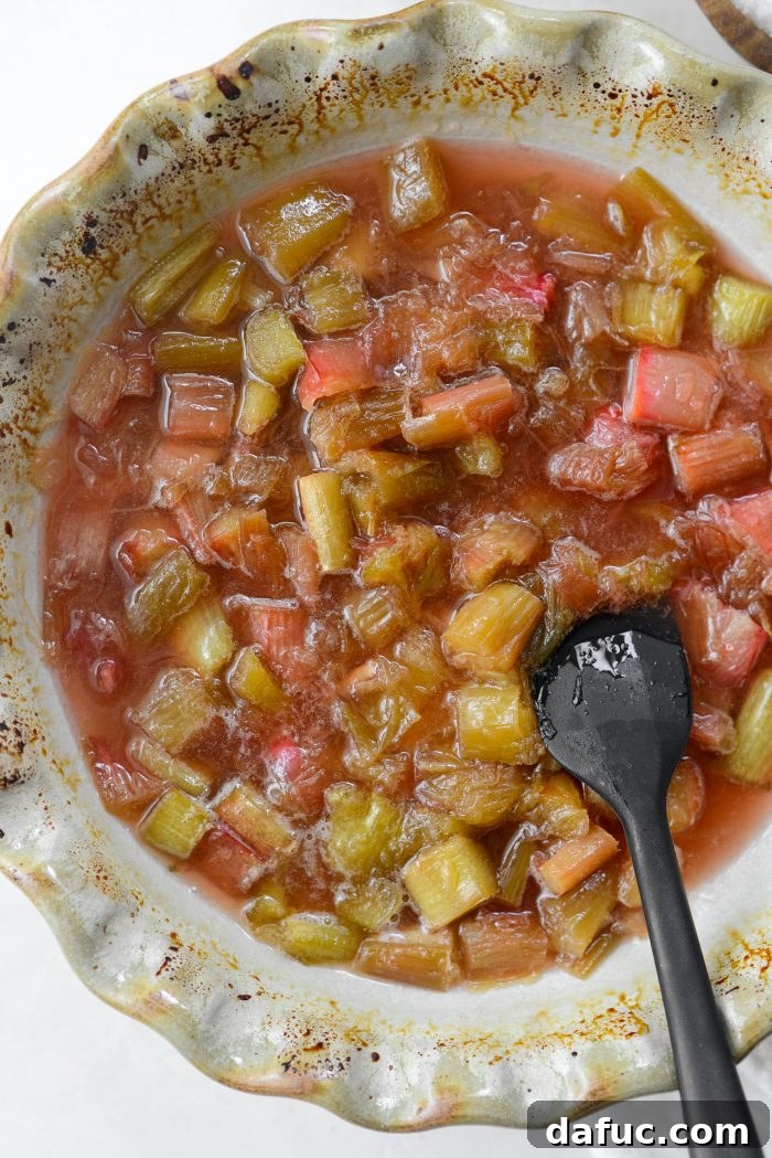 Sweet Tart Rhubarb Jam 12 mash