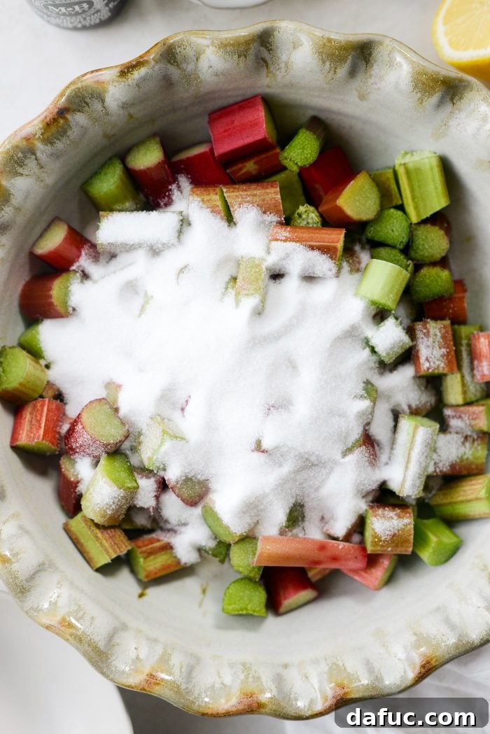 Sweet Tart Rhubarb Jam 5 add sugar to rhubarb
