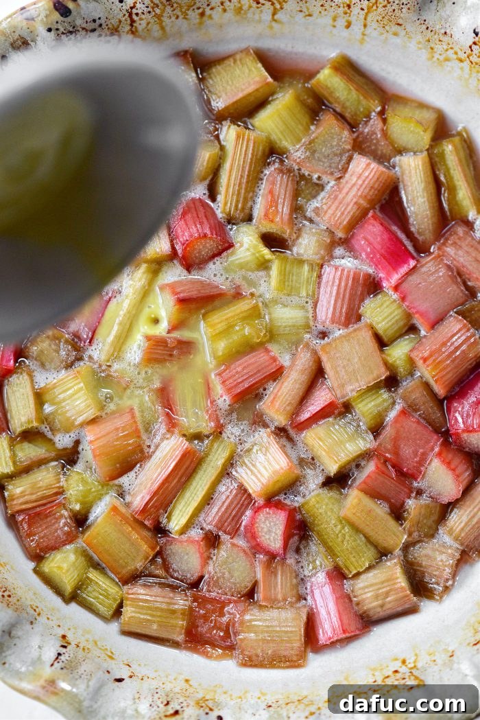 Sweet Tart Rhubarb Jam 10 pour in ginger juice