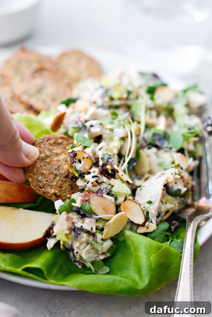 Close-up of Cherry Toasted Almond Chicken Salad, showcasing its vibrant ingredients and creamy texture.