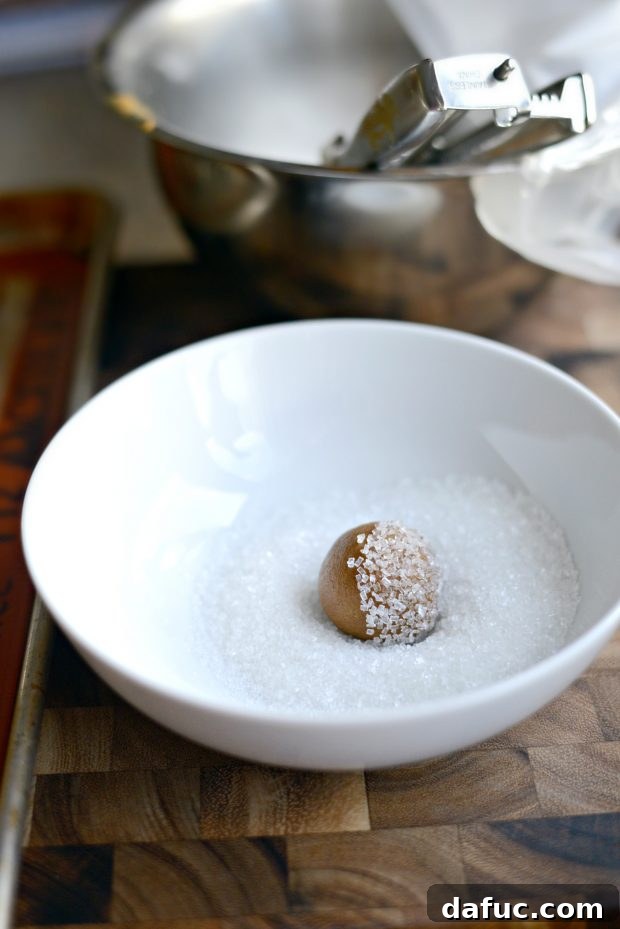 Golden Molasses Chews 13 Scooping cookie dough and rolling into balls.