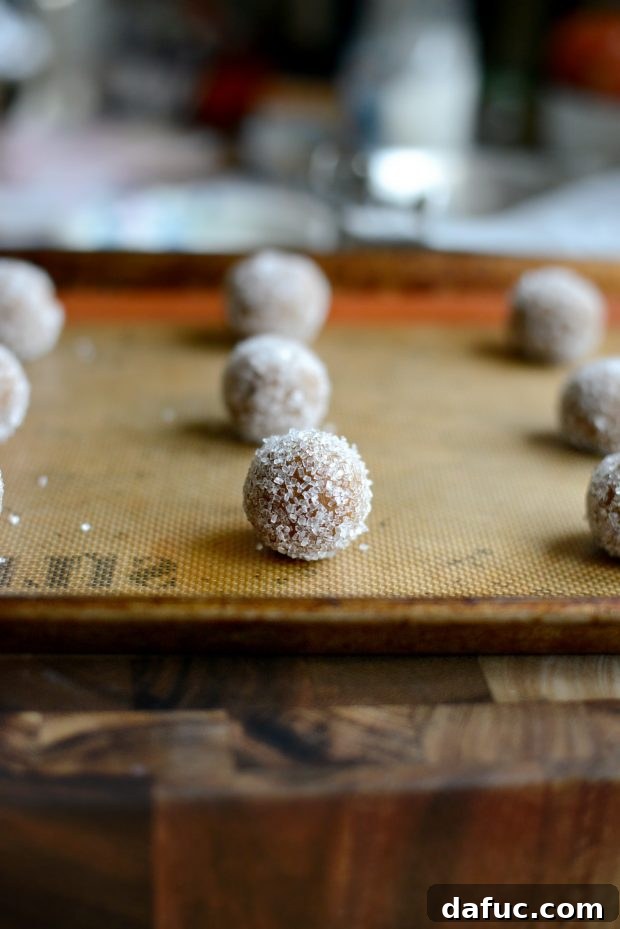 Golden Molasses Chews 14 Rolling cookie dough balls in sugar for a sparkling finish.