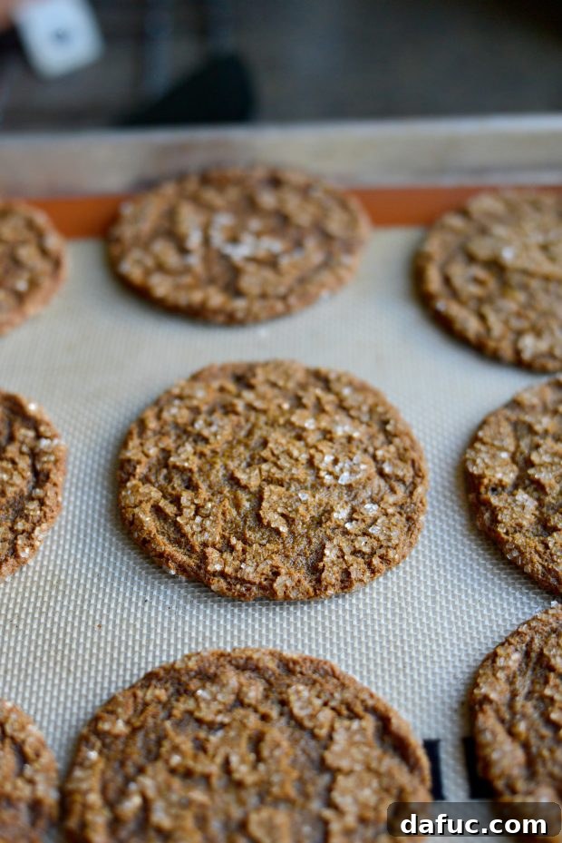 Golden Molasses Chews 15 Freshly baked brown sugar molasses cookies on a baking sheet, cooling slightly.