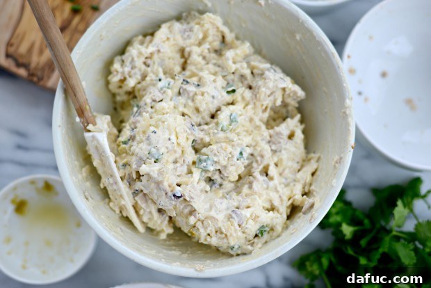 Cheesy Chicken Dip l SimplyScratch.com (9)