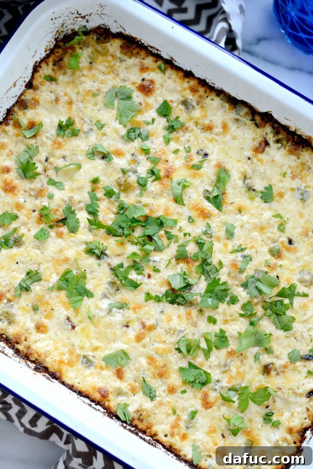Cheesy Chicken Dip l SimplyScratch.com (12)