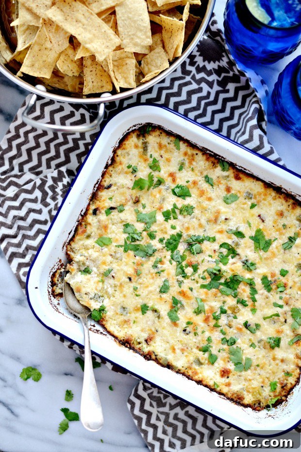 Cheesy Chicken Dip l SimplyScratch.com (15)