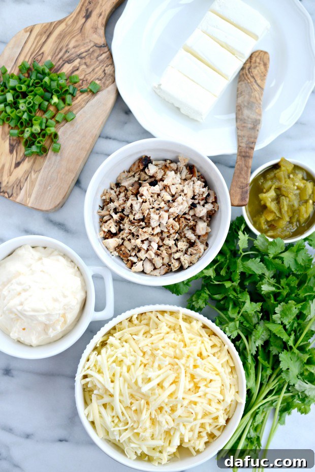 Cheesy Chicken Dip l SimplyScratch.com (01)