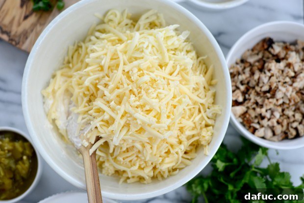 Cheesy Chicken Dip l SimplyScratch.com (4)