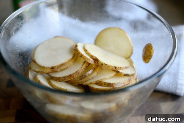 Thinly sliced russet potato rounds, prepared and ready for seasoning and baking.