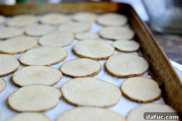 Russet potato slices tossed with olive oil in a bowl, showing they are evenly coated and ready for baking.