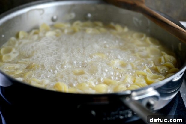 Effortless Skillet Velvety Orecchiette 14 One-Pan Creamy Orecchiette Pasta l SimplyScratch (11)
