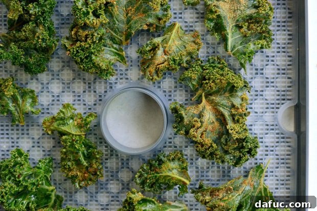 Crunchy Sriracha Garlic Kale Crisps 15 Tossing Kale with Sriracha Garlic Seasoning for Dehydrator