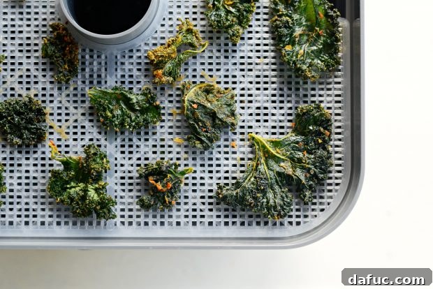 Crunchy Sriracha Garlic Kale Crisps 18 Dehydrator in Action with Kale Chips