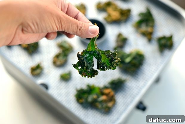 Crunchy Sriracha Garlic Kale Crisps 19 Perfectly Dehydrated Sriracha Garlic Kale Chips