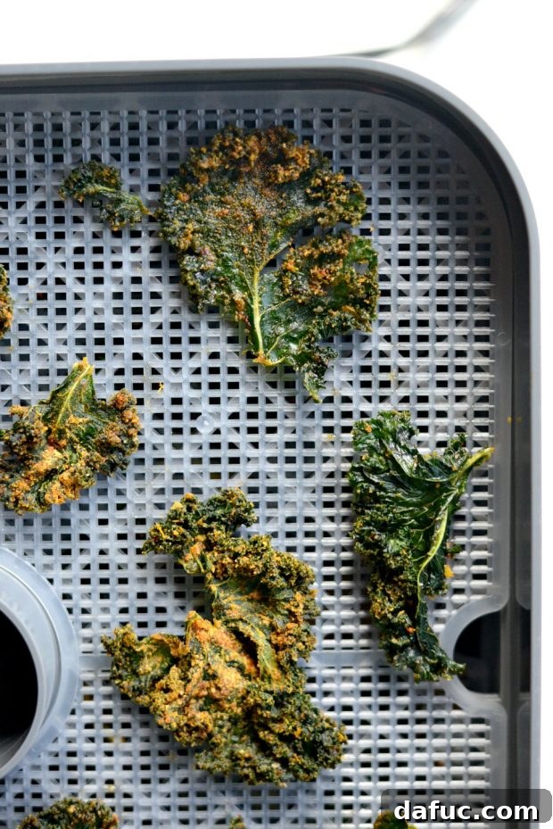 Crunchy Sriracha Garlic Kale Crisps 20 Close-up of Crispy Sriracha Garlic Kale Chips