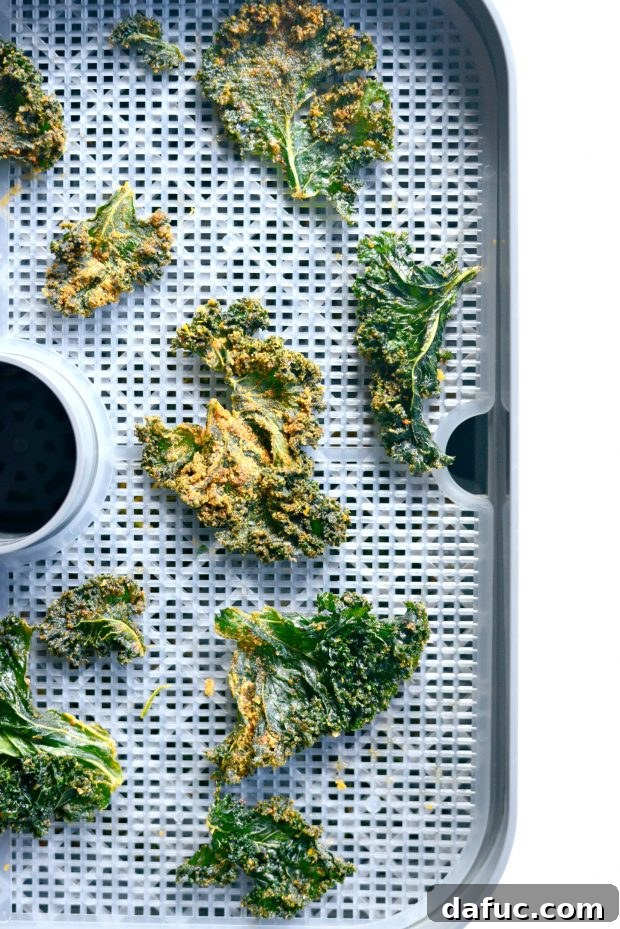 Crunchy Sriracha Garlic Kale Crisps 3 Homemade Spicy Kale Chips made with a Food Dehydrator