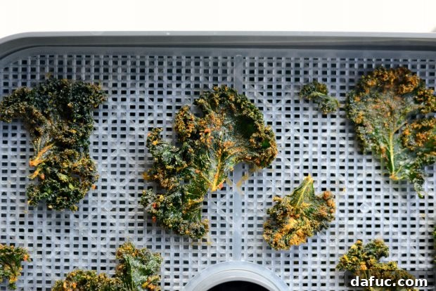Crunchy Sriracha Garlic Kale Crisps 23 Dehydrated Sriracha Garlic Kale Chips, ready to eat