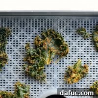 Crunchy Sriracha Garlic Kale Crisps 24 Dehydrated Sriracha Garlic Kale Chips