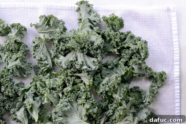 Crunchy Sriracha Garlic Kale Crisps 4 Ingredients for Dehydrated Sriracha Garlic Kale Chips
