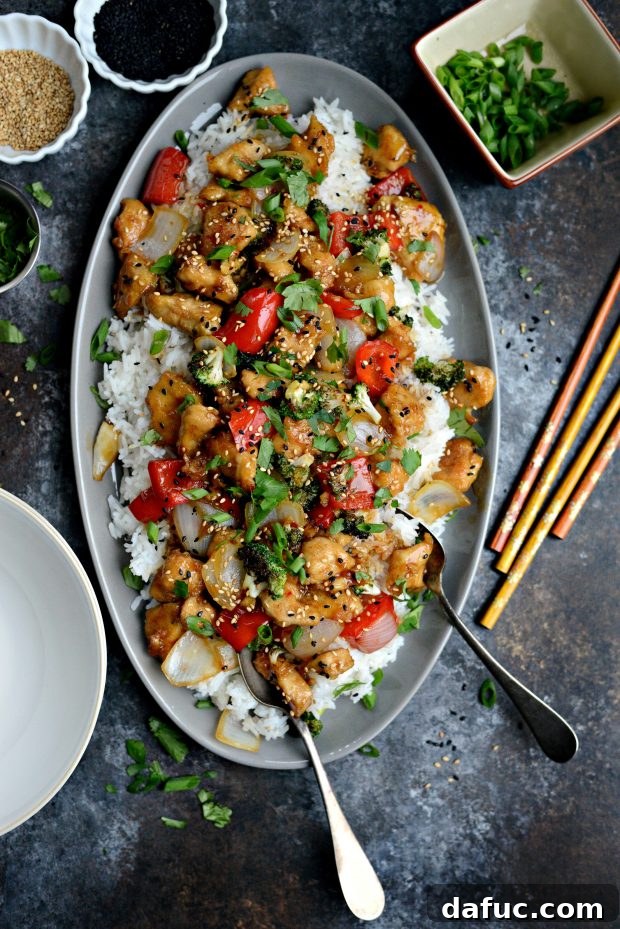 Zesty Ginger Sesame Chicken Stir-Fry 12 Final presentation of ginger sesame chicken stir-fry